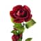 Burgundy Ranunculus Spray by Ashland®